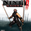 Ninja Gaiden 2 Box Art Cover