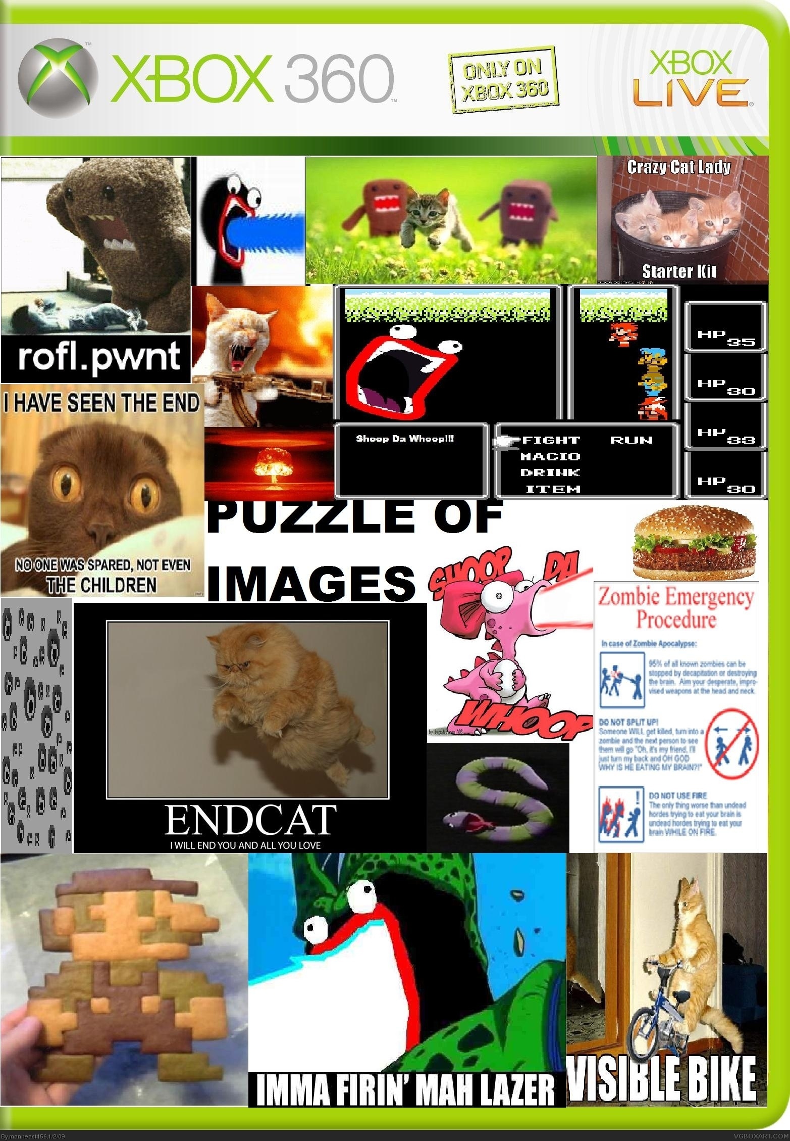 Puzzle of Images box cover