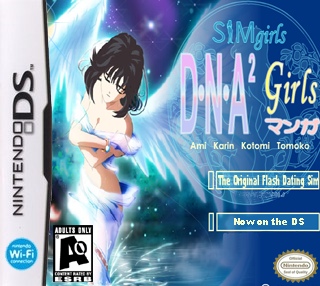 SimGirl DS box cover
