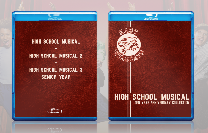 High School  Musical: Ten Year Anniversary box art cover