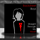 Backstreet Boys- Straight Through My Heart Box Art Cover