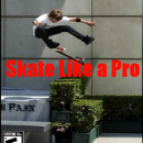 Skate Like a Pro Box Art Cover