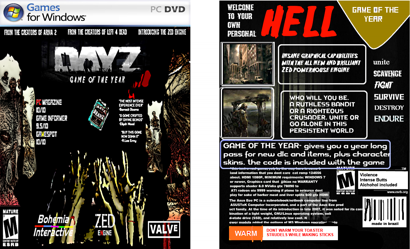 DayZ box cover