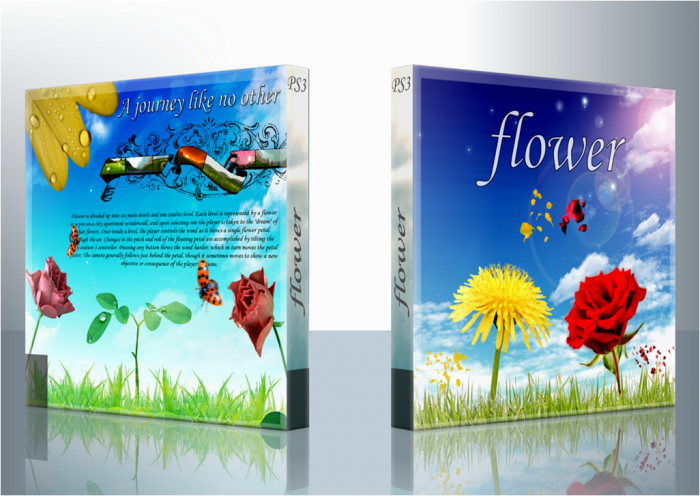 Flower box art cover