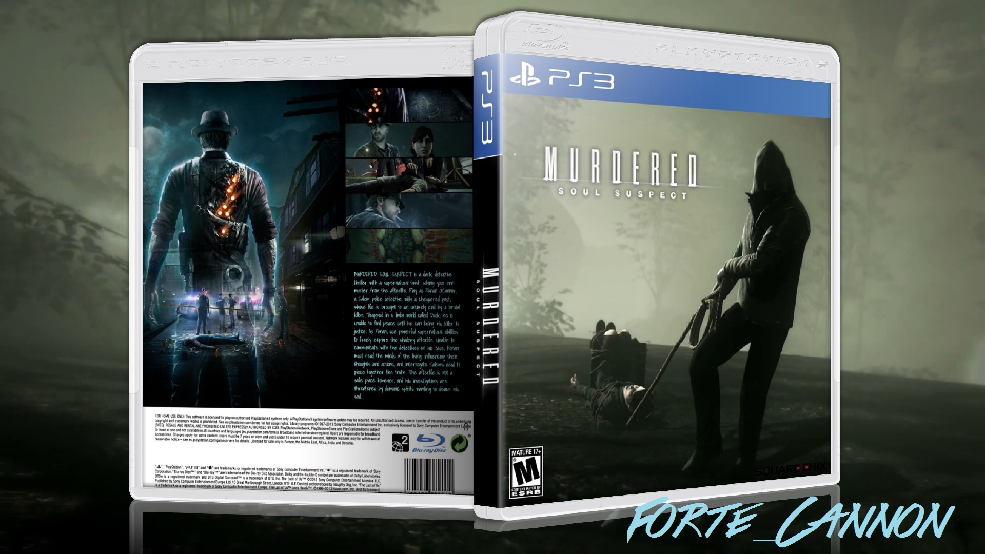 Murdered Soul Suspect box cover