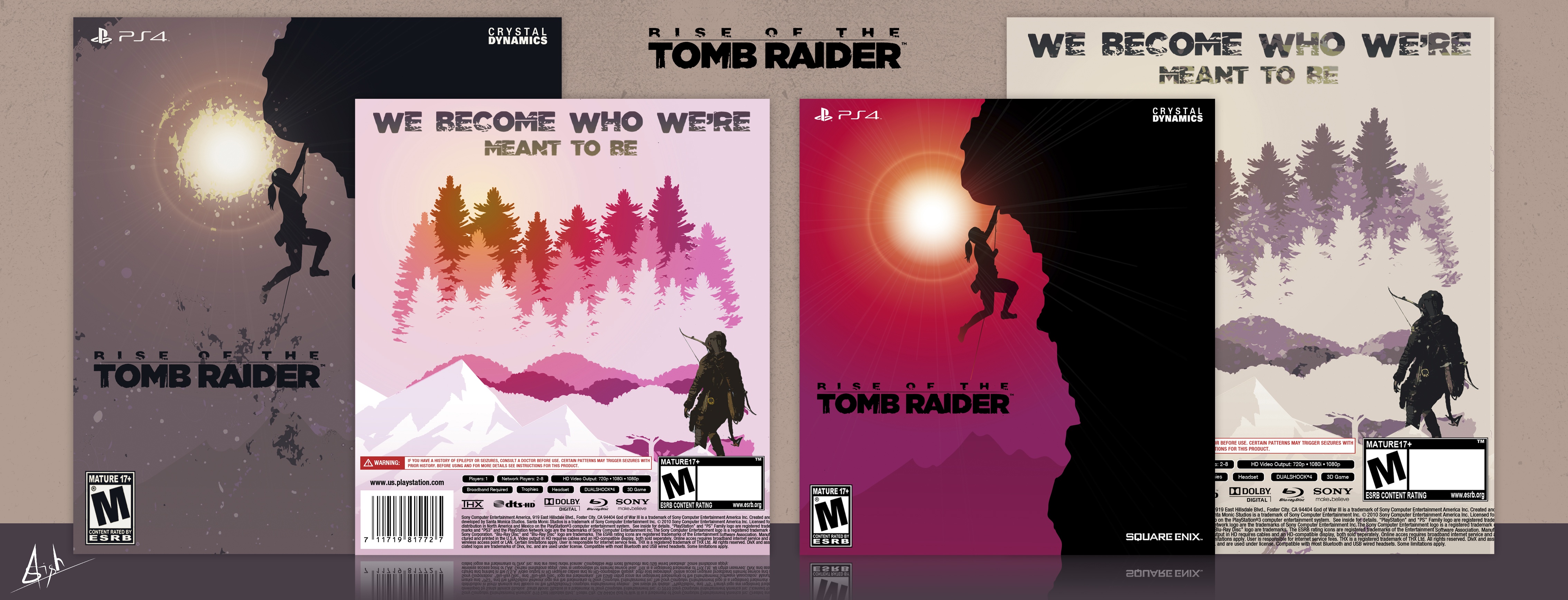 Rise of the Tomb Raider box cover