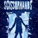 Edward Scissorhands Box Art Cover