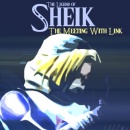 Sheik Revolution Box Art Cover