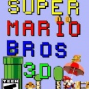 Super Mario Bros 3D Box Art Cover